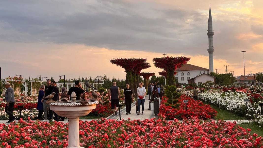 Konya’nın günbatımında masalsı manzara sunan parkı 14